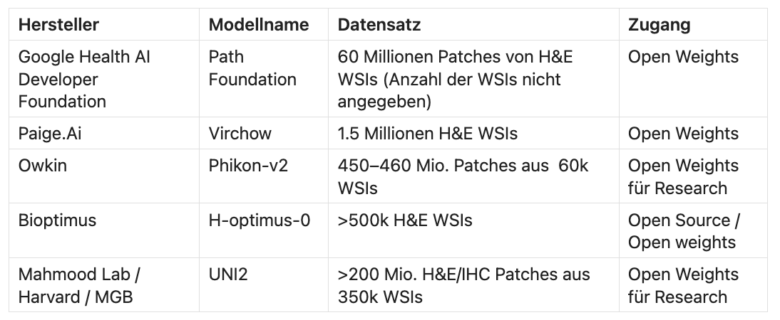 Tabelle bekannter Foundation Models in der Pathologie