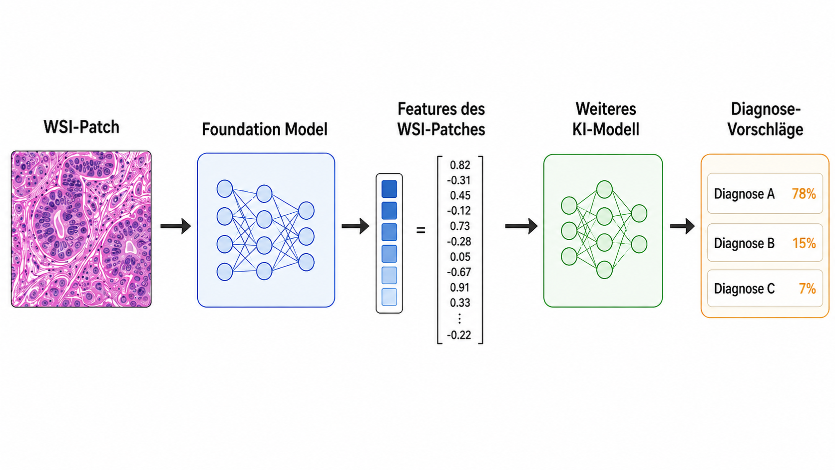 Workflow von einem WSI-Patch über ein Foundation Model zu Diagnose-Vorschlägen